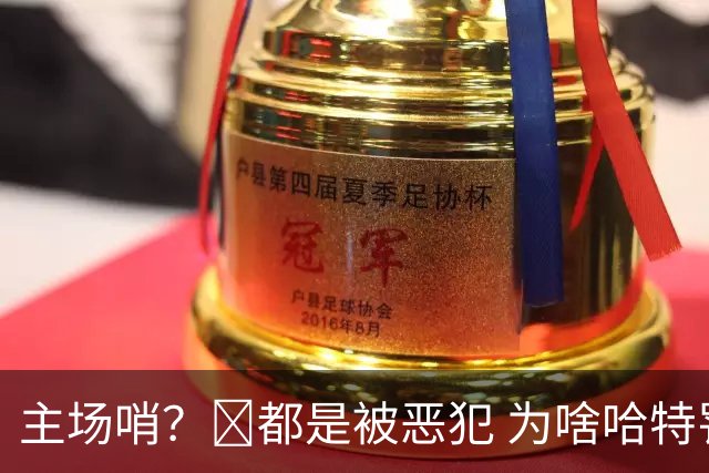 主场哨？🧠都是被恶犯 为啥哈特罚一个 文班罚两个？