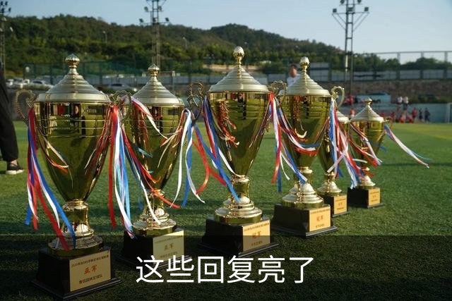 这些回复亮了